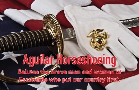 aguilar horseshoeing