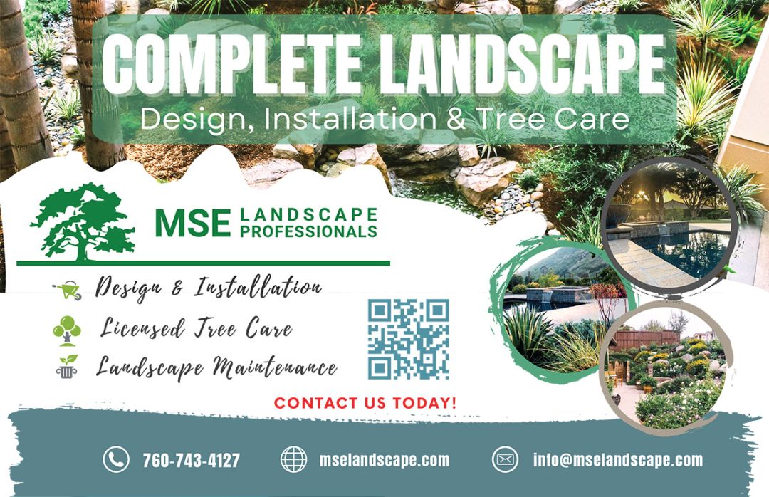 mse landscape